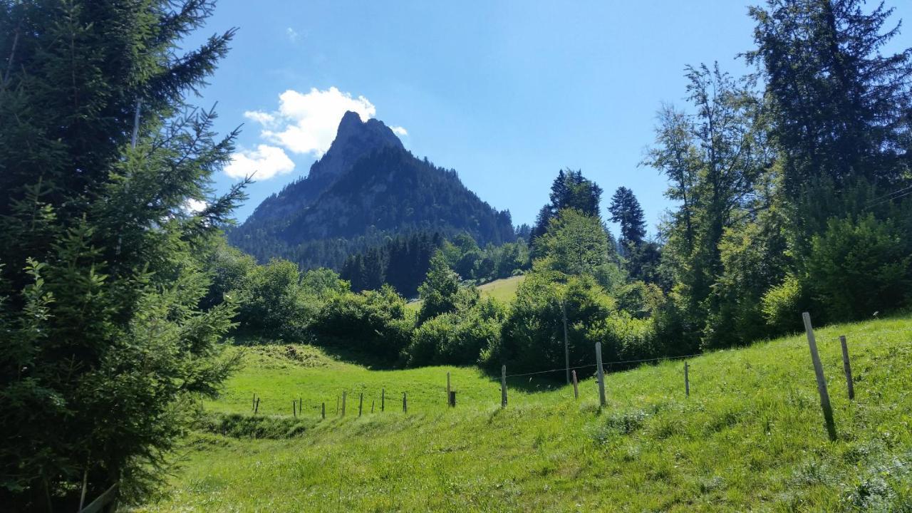 Wettermatte Villa Kiental ภายนอก รูปภาพ