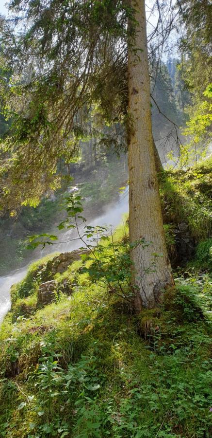 Wettermatte Villa Kiental ภายนอก รูปภาพ